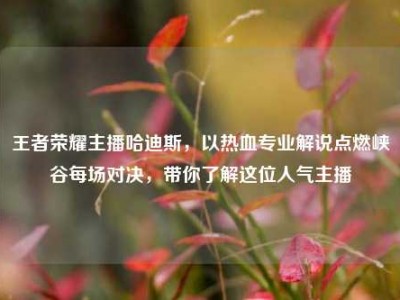 王者荣耀主播哈迪斯，以热血专业解说点燃峡谷每场对决，带你了解这位人气主播