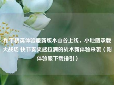 和平精英体验服新版本山谷上线，小地图承载大战场 快节奏爽感拉满的战术新体验来袭（附体验服下载指引）