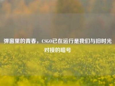 弹窗里的青春，CSGO已在运行是我们与旧时光对接的暗号