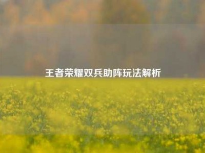 王者荣耀双兵助阵玩法解析