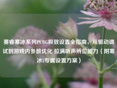 赛睿寒冰系列PUBG极致设置全指南，从驱动调试到游戏内参数优化 拉满听声辨位能力（附寒冰5专属设置方案）