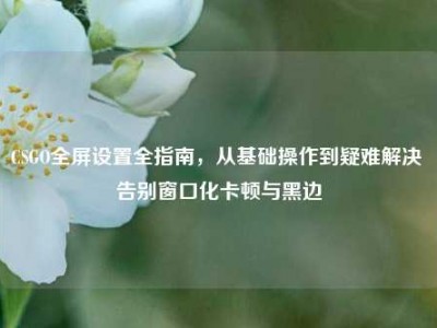 CSGO全屏设置全指南，从基础操作到疑难解决 告别窗口化卡顿与黑边
