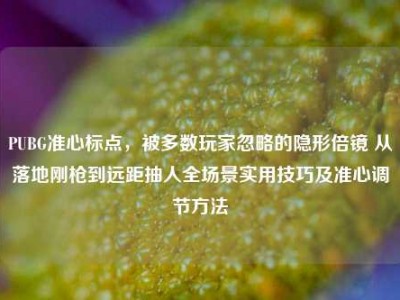 PUBG准心标点，被多数玩家忽略的隐形倍镜 从落地刚枪到远距抽人全场景实用技巧及准心调节方法