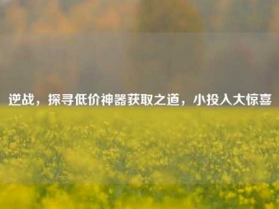 逆战，探寻低价神器获取之道，小投入大惊喜