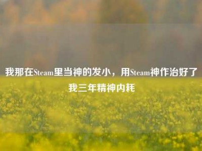我那在Steam里当神的发小，用Steam神作治好了我三年精神内耗