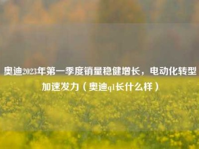奥迪2023年第一季度销量稳健增长，电动化转型加速发力（奥迪q1长什么样）