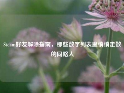 Steam好友解除指南，那些数字列表里悄悄走散的同路人