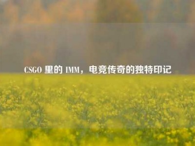 CSGO 里的 IMM，电竞传奇的独特印记