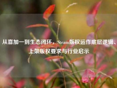 从喜加一到生态闭环，Steam版权运作底层逻辑、上架版权要求与行业启示