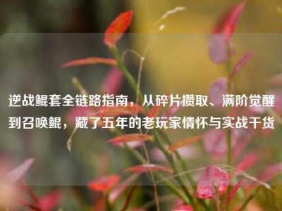 逆战鲲套全链路指南，从碎片攒取、满阶觉醒到召唤鲲，藏了五年的老玩家情怀与实战干货