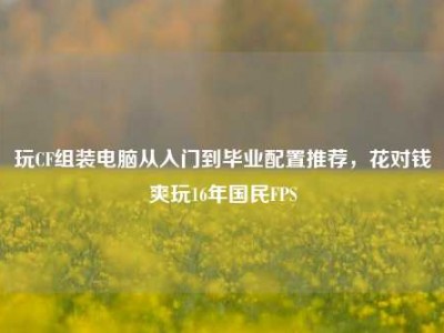 玩CF组装电脑从入门到毕业配置推荐，花对钱爽玩16年国民FPS