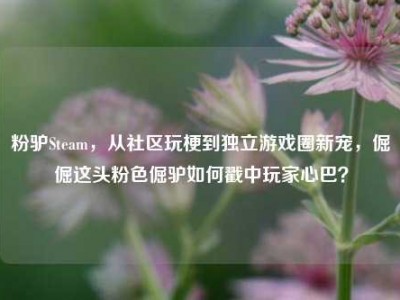 粉驴Steam，从社区玩梗到独立游戏圈新宠，倔倔这头粉色倔驴如何戳中玩家心巴？