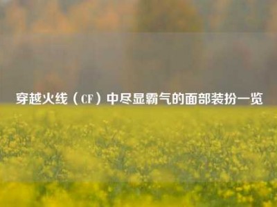 穿越火线（CF）中尽显霸气的面部装扮一览