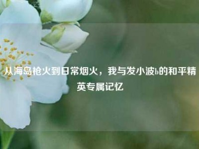 从海岛枪火到日常烟火，我与发小波b的和平精英专属记忆