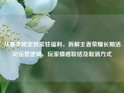 从赛季限定到常驻福利，拆解王者荣耀长期活动运营逻辑、玩家情感联结及取消方式