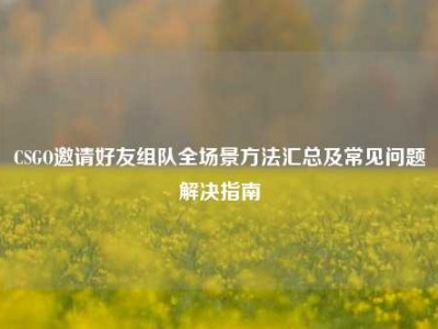 CSGO邀请好友组队全场景方法汇总及常见问题解决指南
