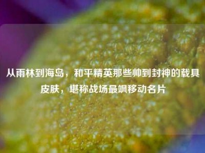 从雨林到海岛，和平精英那些帅到封神的载具皮肤，堪称战场最飒移动名片