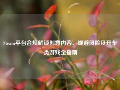 Steam平台合规解锁创意内容、规避风险及开车类游戏全指南