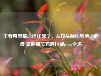 王者荣耀墓地操作教学，从坟头蹦迪到绝地翻盘 掌握细节死后也能carry全场