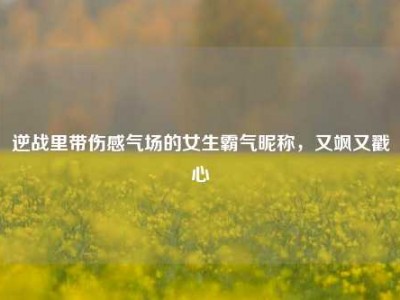 逆战里带伤感气场的女生霸气昵称，又飒又戳心