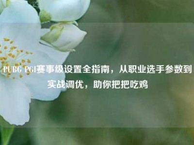 PUBG PGI赛事级设置全指南，从职业选手参数到实战调优，助你把把吃鸡