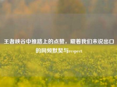 王者峡谷中推路上的点赞，藏着我们未说出口的同频默契与respect