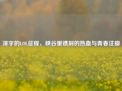 泽宇的LOL征程，峡谷里镌刻的热血与青春注脚