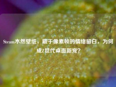 Steam木然壁纸，藏于像素帧的情绪留白，为何成Z世代桌面新宠？