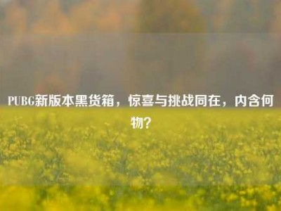 PUBG新版本黑货箱，惊喜与挑战同在，内含何物？