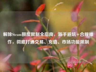 解除Steam额度限制全指南，新手避坑+合规操作，彻底打通交易、充值、市场功能限制