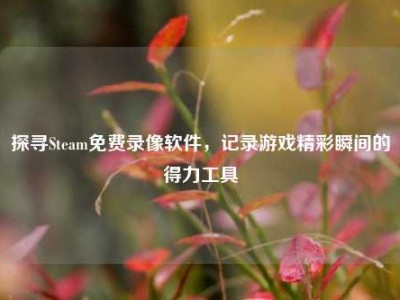 探寻Steam免费录像软件，记录游戏精彩瞬间的得力工具
