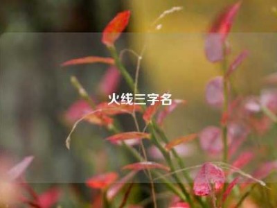 火线三字名