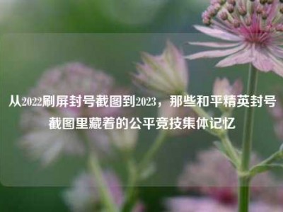 从2022刷屏封号截图到2023，那些和平精英封号截图里藏着的公平竞技集体记忆