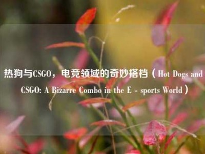热狗与CSGO，电竞领域的奇妙搭档（Hot Dogs and CSGO: A Bizarre Combo in the E - sports World）