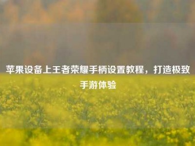 苹果设备上王者荣耀手柄设置教程，打造极致手游体验