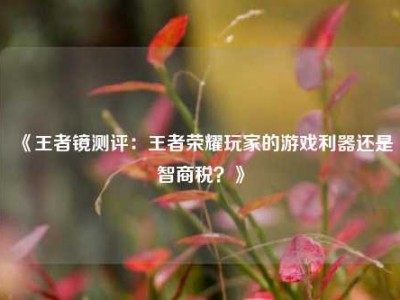 《王者镜测评：王者荣耀玩家的游戏利器还是智商税？》