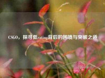 CSGO，探寻低rating背后的困境与突破之道