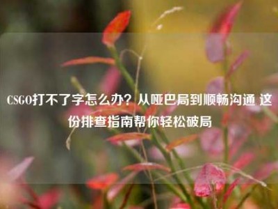 CSGO打不了字怎么办？从哑巴局到顺畅沟通 这份排查指南帮你轻松破局
