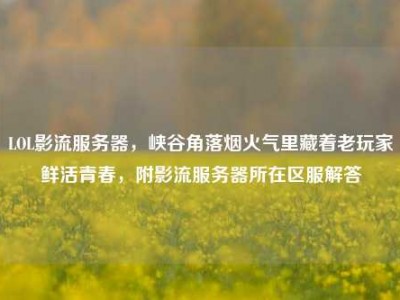 LOL影流服务器，峡谷角落烟火气里藏着老玩家鲜活青春，附影流服务器所在区服解答