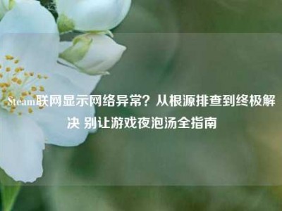 Steam联网显示网络异常？从根源排查到终极解决 别让游戏夜泡汤全指南