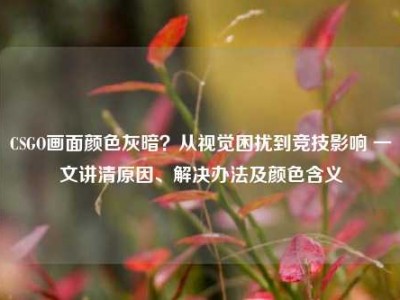 CSGO画面颜色灰暗？从视觉困扰到竞技影响 一文讲清原因、解决办法及颜色含义