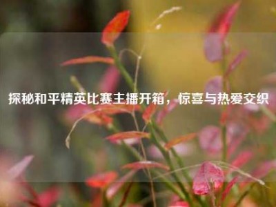 探秘和平精英比赛主播开箱，惊喜与热爱交织