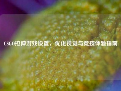 CSGO拉伸游戏设置，优化视觉与竞技体验指南