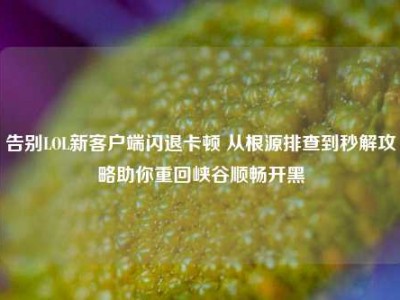 告别LOL新客户端闪退卡顿 从根源排查到秒解攻略助你重回峡谷顺畅开黑