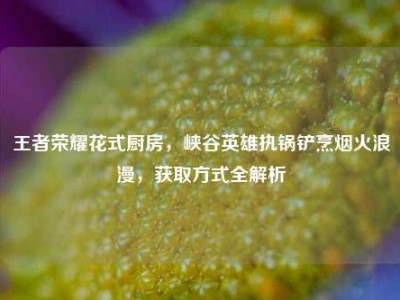 王者荣耀花式厨房，峡谷英雄执锅铲烹烟火浪漫，获取方式全解析