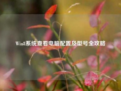 Win8系统查看电脑配置及型号全攻略