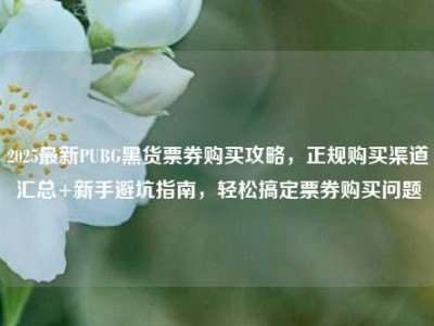 2025最新PUBG黑货票券购买攻略，正规购买渠道汇总+新手避坑指南，轻松搞定票券购买问题