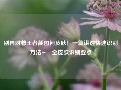 别再对着王者截图问皮肤！一篇讲透快速识别方法+暃全皮肤识别要点