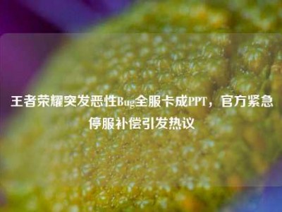 王者荣耀突发恶性Bug全服卡成PPT，官方紧急停服补偿引发热议
