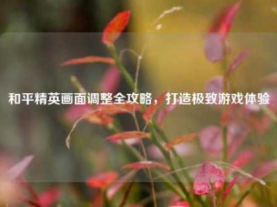 和平精英画面调整全攻略，打造极致游戏体验